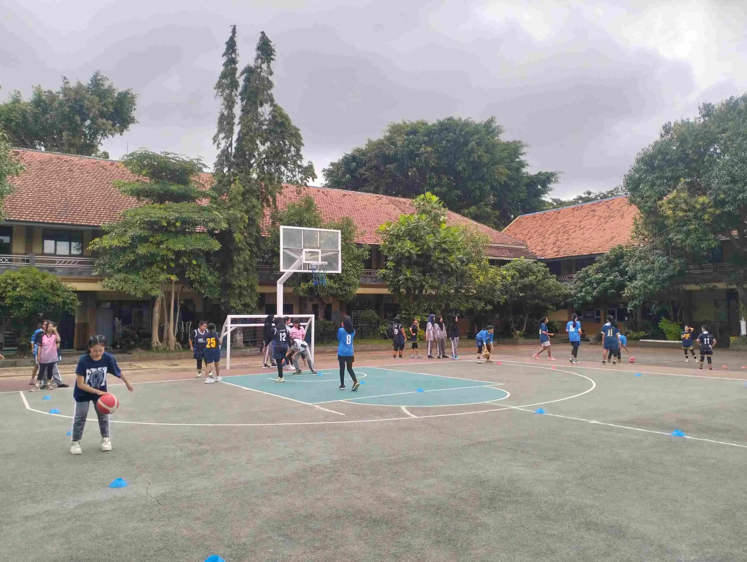 basket smanere